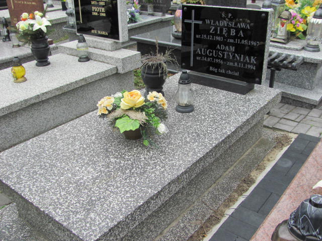 Grób Władysława Zięba