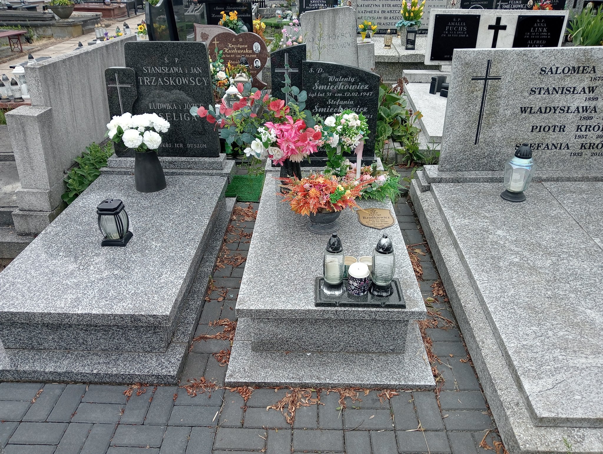 Grób Jadwiga Rzodkiewicz