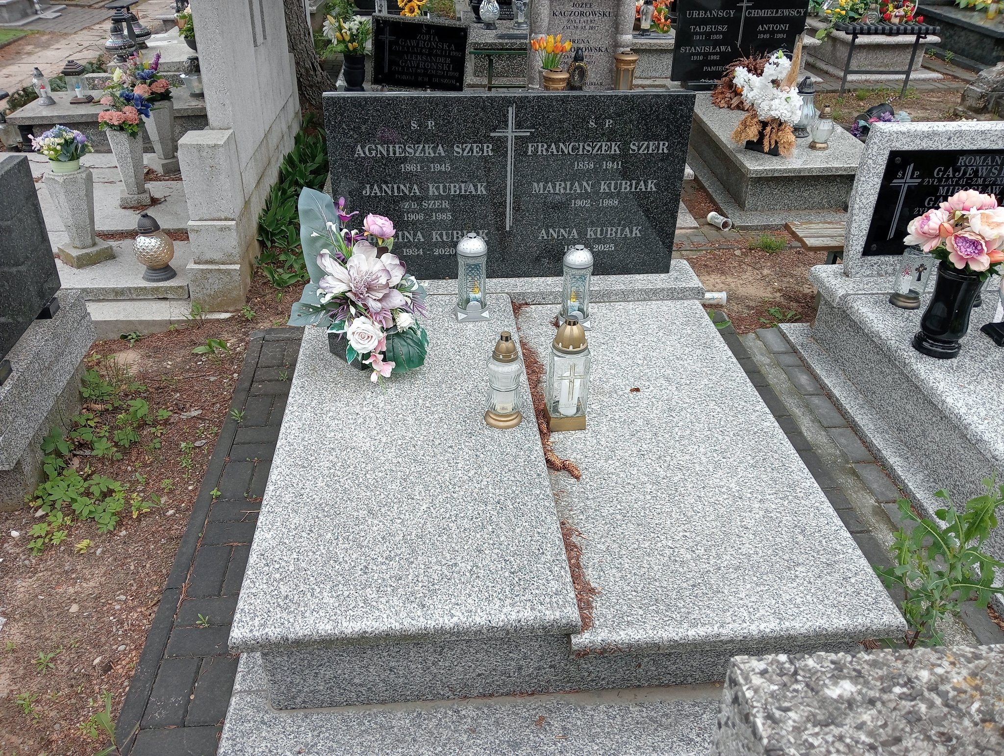 Grób Franciszek Szer