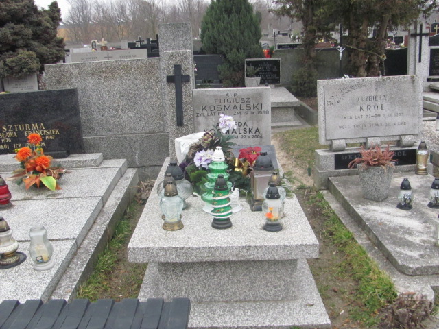 Grób Eligiusz Kosmalski
